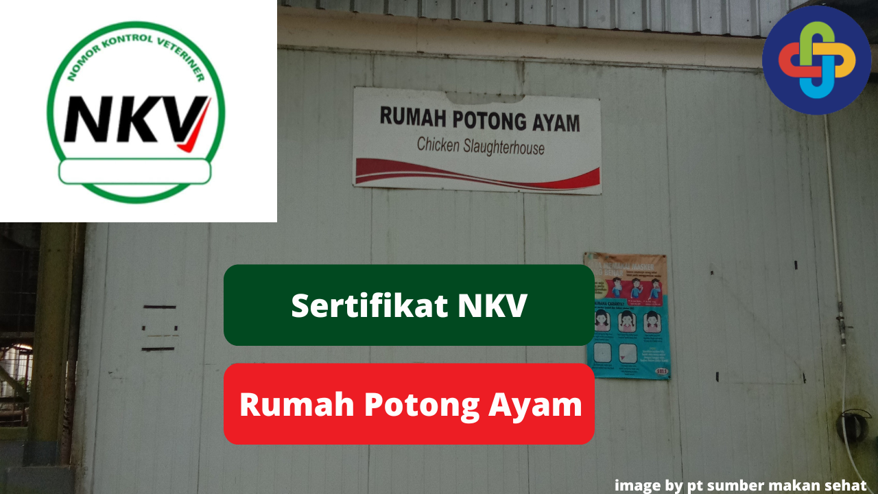 Berikut Ini Pentingnya Sertifikat NKV Pada Rumah Potong Ayam